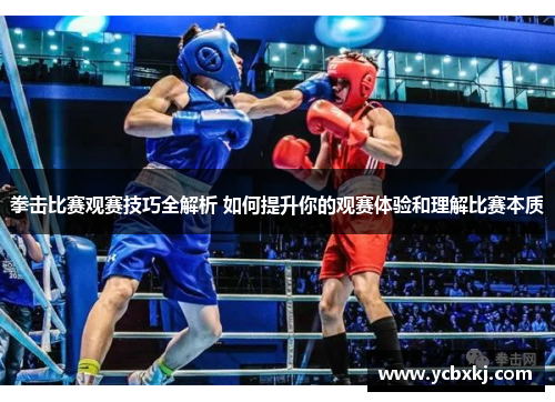 拳击比赛观赛技巧全解析 如何提升你的观赛体验和理解比赛本质