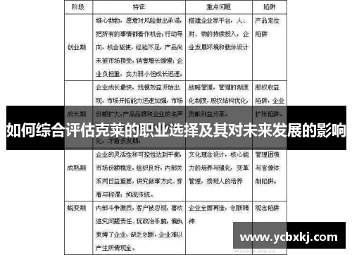 如何综合评估克莱的职业选择及其对未来发展的影响