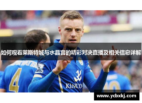 如何观看莱斯特城与水晶宫的精彩对决直播及相关信息详解