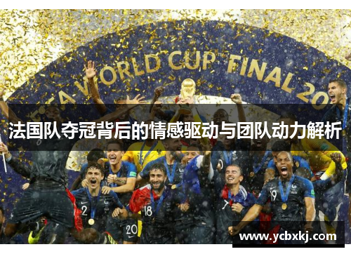 法国队夺冠背后的情感驱动与团队动力解析