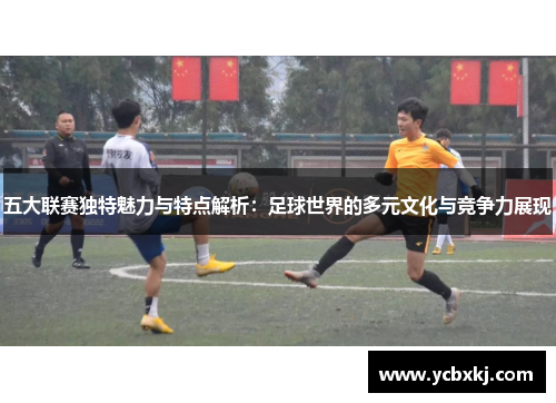 五大联赛独特魅力与特点解析:足球世界的多元文化与竞争力展现 五大联赛独特魅力与特点解析:足球世界的多元文化与竞争力展现