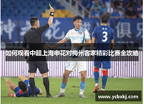 如何观看中超上海申花对梅州客家精彩比赛全攻略