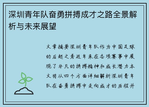 深圳青年队奋勇拼搏成才之路全景解析与未来展望